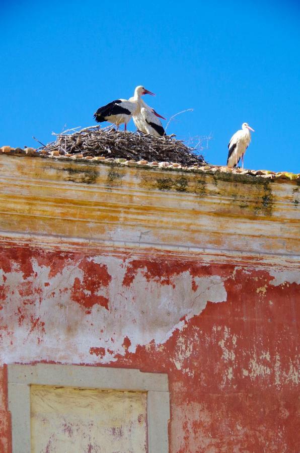Casa Margarida Azul Βίλα Silves Εξωτερικό φωτογραφία
